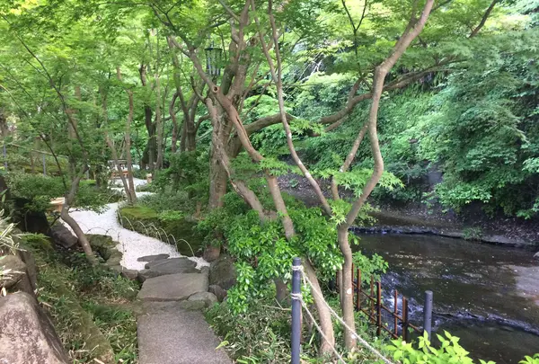 国指定重要文化財「一条恵観山荘」の写真・動画_image_492223
