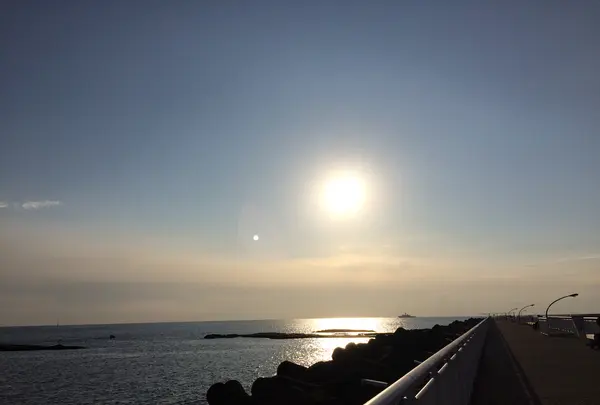 湘南港灯台の写真・動画_image_492239