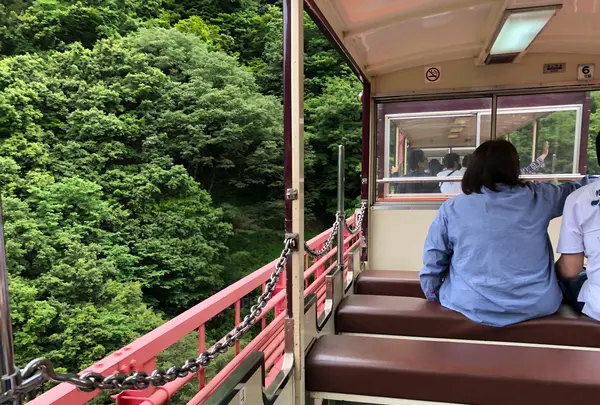 黒部峡谷トロッコ電車の写真・動画_image_492313