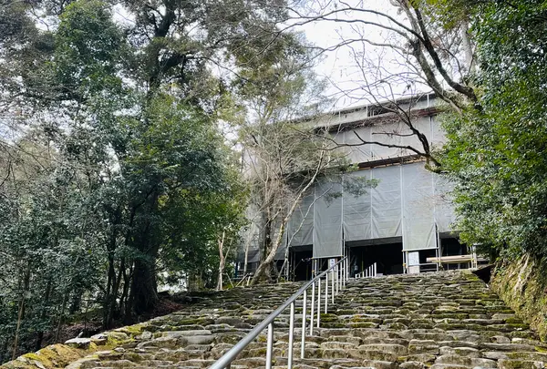 神護寺の写真・動画_image_492540