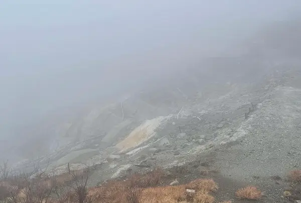 大涌谷の写真・動画_image_492697