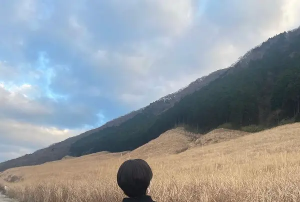 仙石原すすき草原の写真・動画_image_492713