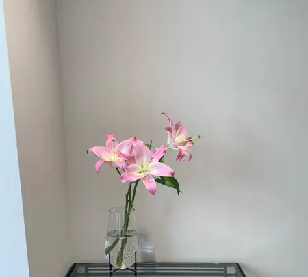 ショコラトリーエスの写真・動画_image_492857