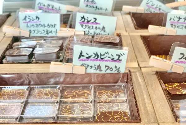marcoの写真・動画_image_492866