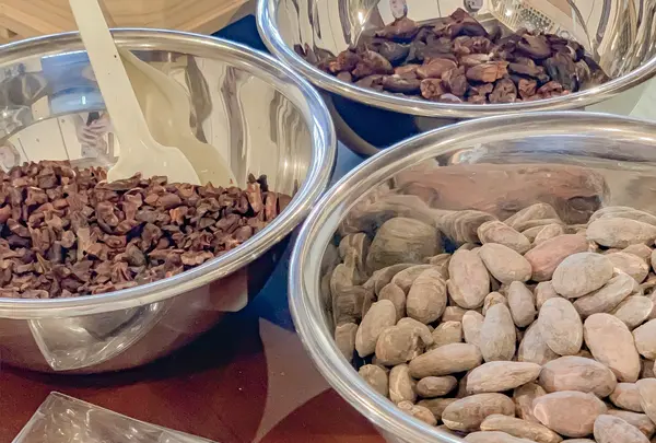 御饌cacaoの写真・動画_image_492894