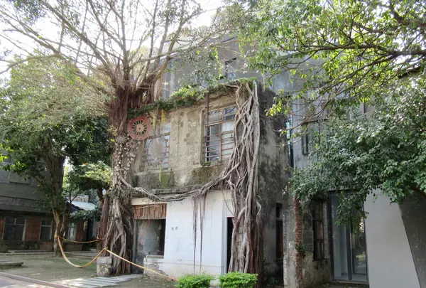 舊事生活 Old & Crazyの写真・動画_image_492920