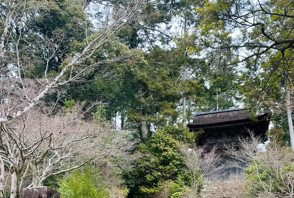 神護寺の写真・動画_image_493133