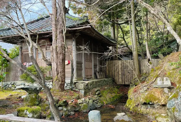 神護寺の写真・動画_image_493141