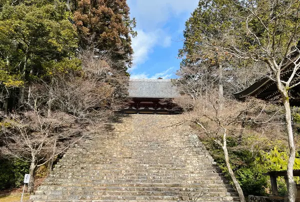 神護寺の写真・動画_image_493144