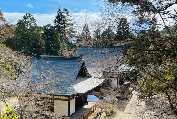 神護寺の写真・動画_image_493145