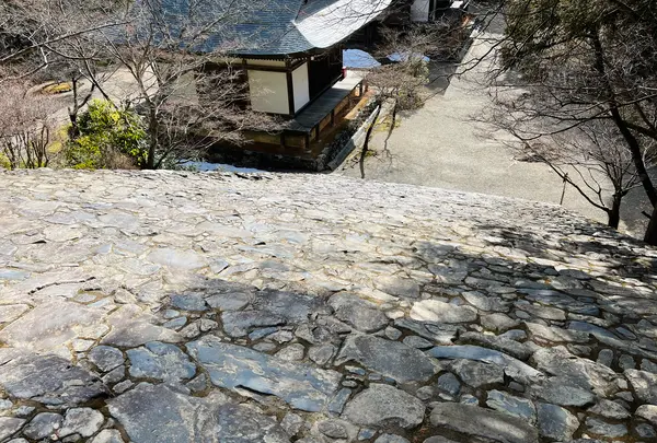 神護寺の写真・動画_image_493147