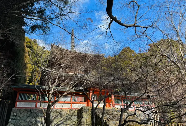 神護寺の写真・動画_image_493148