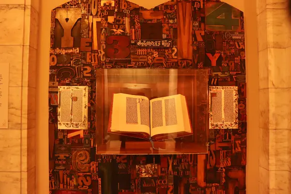 ニューヨーク公立図書館本館の写真・動画_image_493330