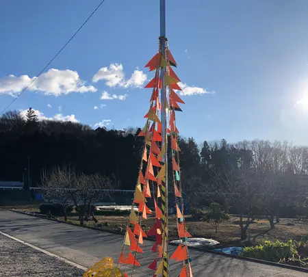 玉子サンド研究所の写真・動画_image_493409