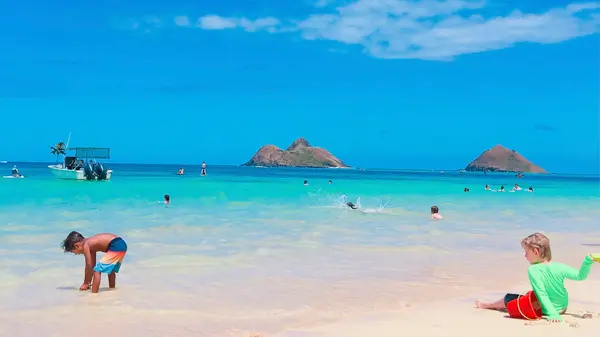 ラニカイ・ビーチの写真・動画_image_493618