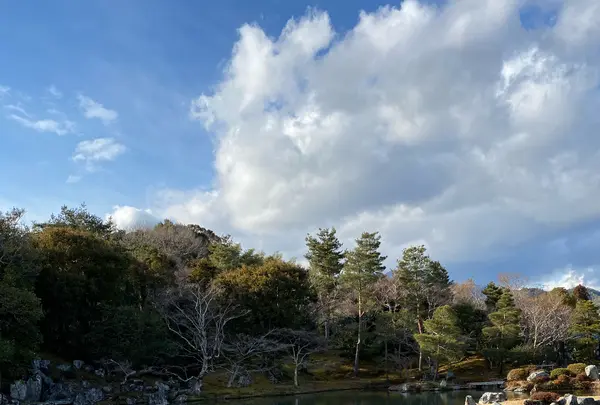 天龍寺の写真・動画_image_494162
