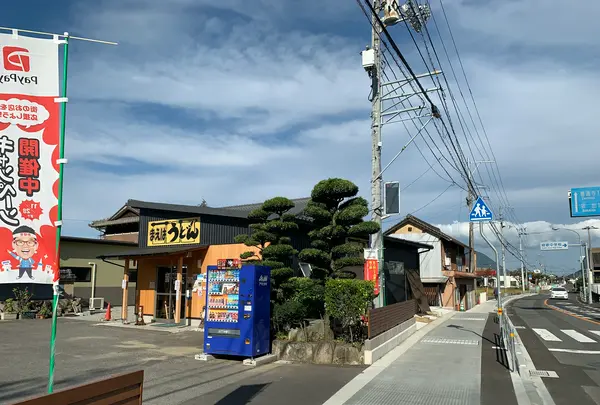 手打ちうどん まえばの写真・動画_image_494332