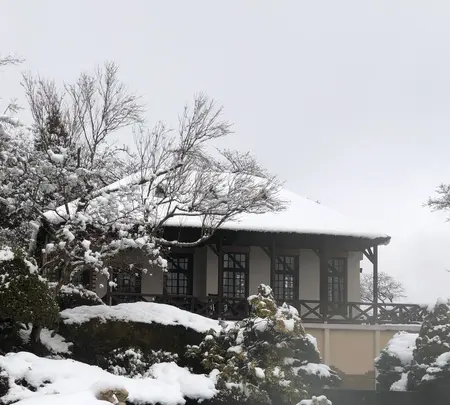 箱根強羅公園の写真・動画_image_494366