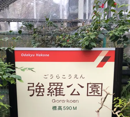 箱根強羅公園の写真・動画_image_494368