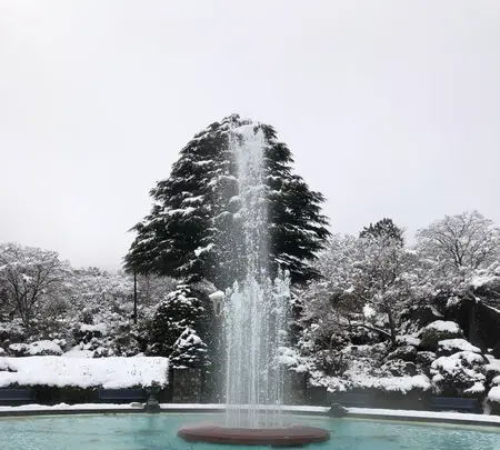 箱根強羅公園の写真・動画_image_494369