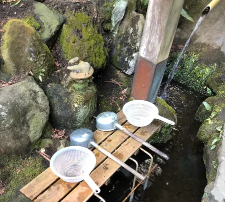 深沢銭洗弁天の写真・動画_image_494408