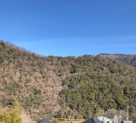 伊東園ホテル箱根湯本の写真・動画_image_494561