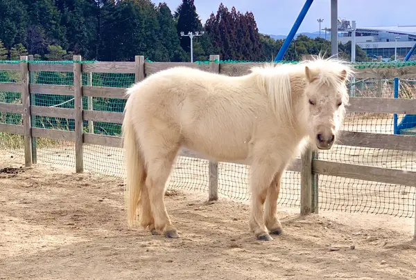 八天堂 カフェリエ （Hattendo Cafelie）の写真・動画_image_494821