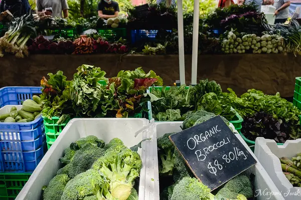 Marrickville Organic Food Marketの写真・動画_image_495098