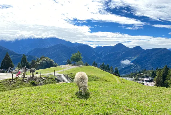 Qingjing Farmの写真・動画_image_495226