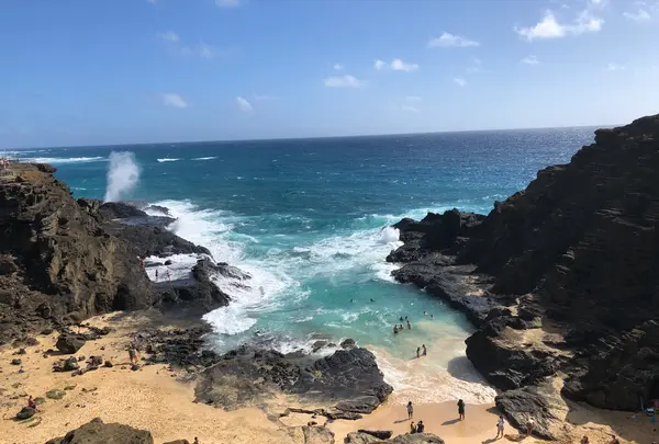 ハロナ・ビーチ・コーブの写真・動画_image_495345