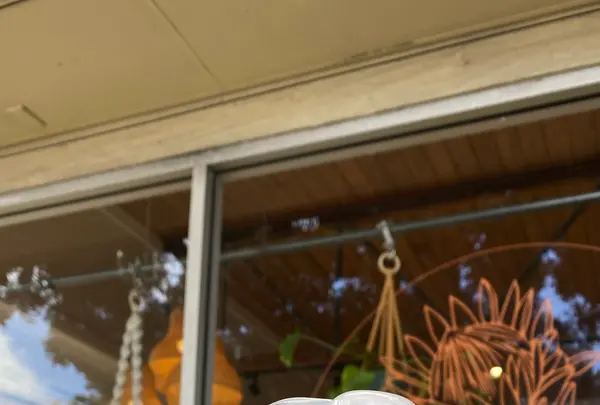 Protea Zero Waste Storeの写真・動画_image_495353