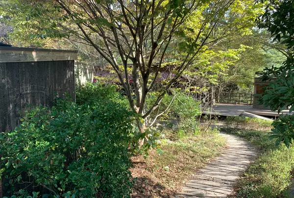 キトクラスカフェの写真・動画_image_496000