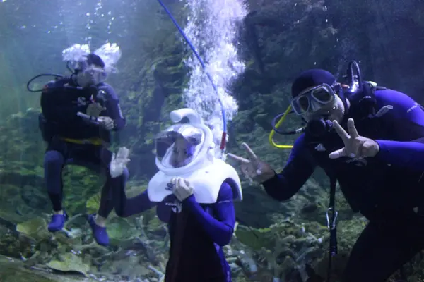 Under Water World（アンダーウォーターワールド）の写真・動画_image_496056