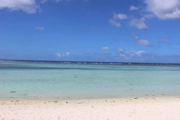 Tumon Trade Center（タモントレードセンター）の写真・動画_image_496080