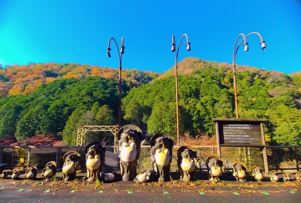 嵯峨野トロッコ列車の写真・動画_image_496172