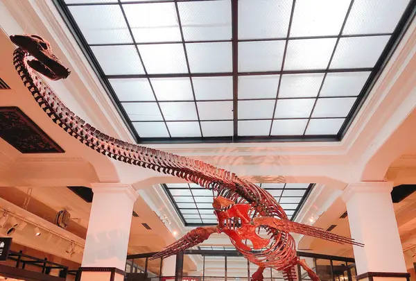 国立科学博物館の写真・動画_image_497166