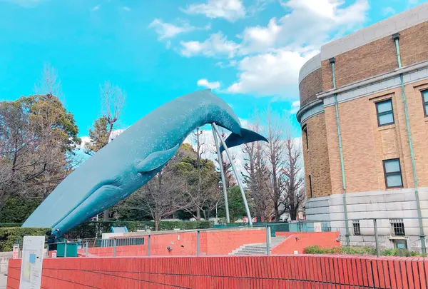 国立科学博物館の写真・動画_image_497168