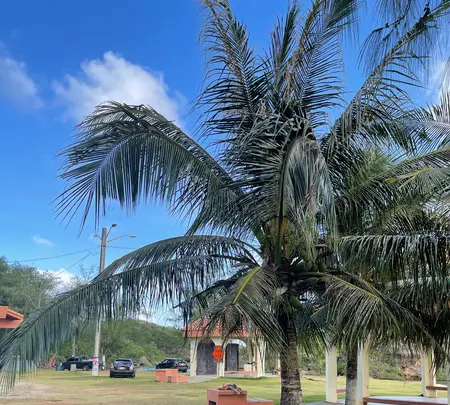 Inarajan Natural Pool（イナラハン天然プール）の写真・動画_image_497500