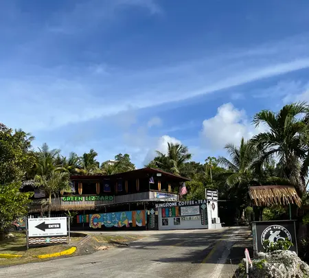 グリーン リザードの写真・動画_image_497555