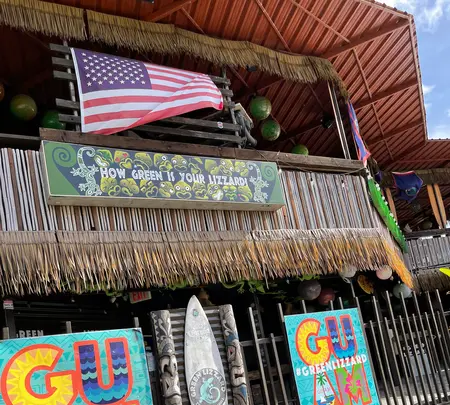 グリーン リザードの写真・動画_image_497556