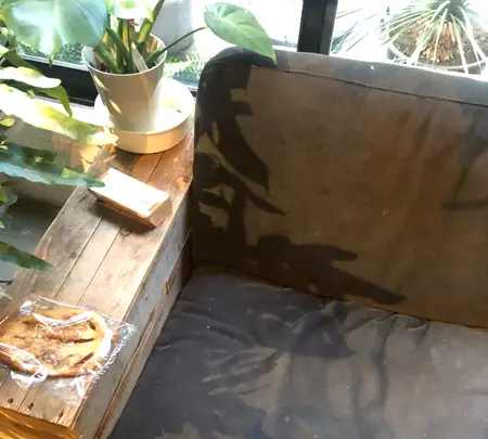 ROUTE BOOKSの写真・動画_image_497820