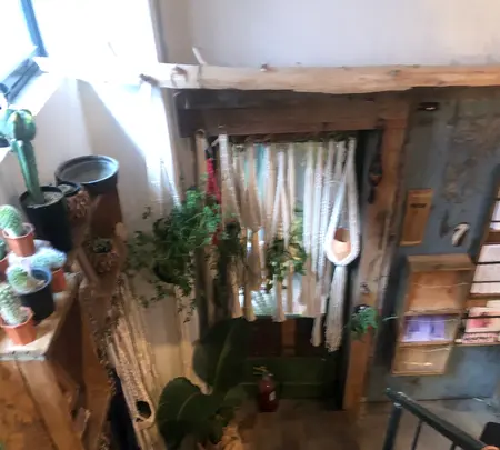 ROUTE BOOKSの写真・動画_image_497821