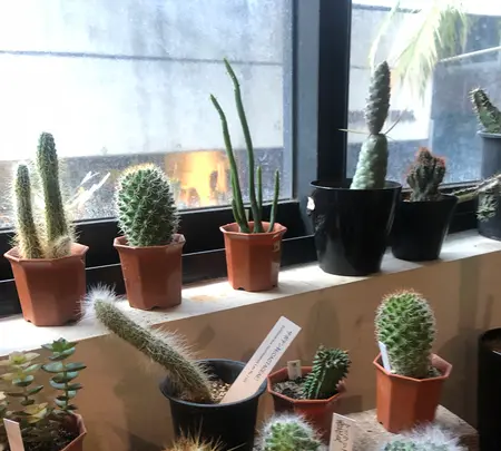 ROUTE BOOKSの写真・動画_image_497822