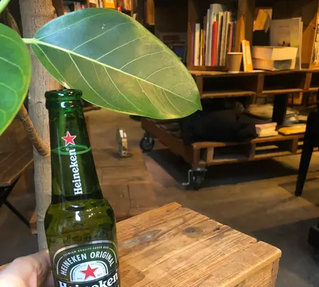 ROUTE BOOKSの写真・動画_image_497823