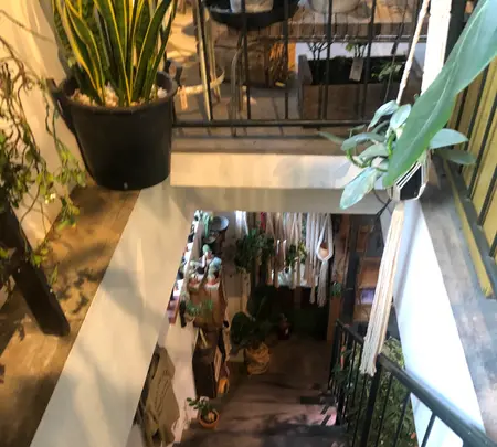 ROUTE BOOKSの写真・動画_image_497825