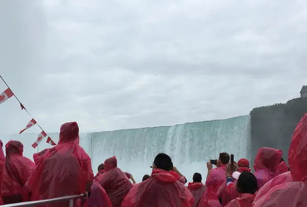 ナイアガラ・フォールズの写真・動画_image_498261