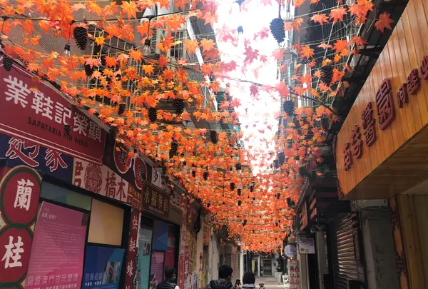 Guan Qian Old Streetの写真・動画_image_498446
