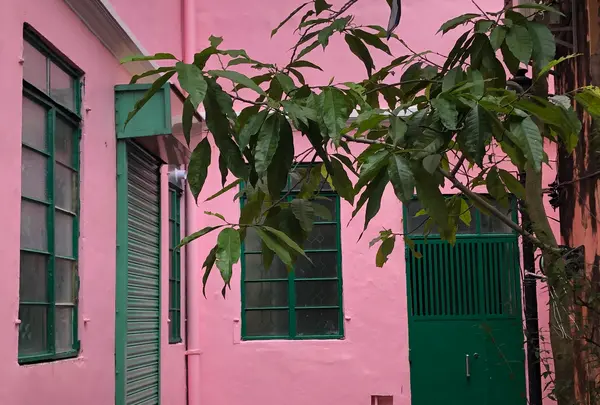 Rua do Cunhaの写真・動画_image_498452