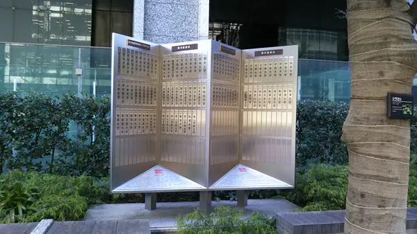 箱根駅伝 スタートラインの写真・動画_image_498534