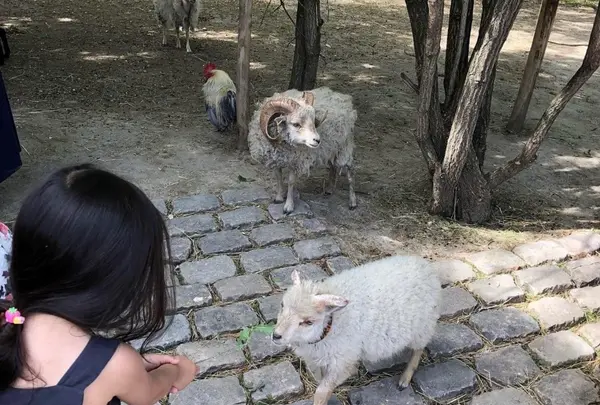 アクリマタシオン庭園の写真・動画_image_498879